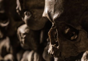 Eintrittskarte für die Katakomben von Paris + Audioguide 1