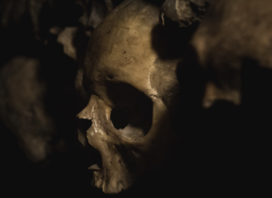 Eintrittskarte für die Katakomben von Paris + Audioguide 5