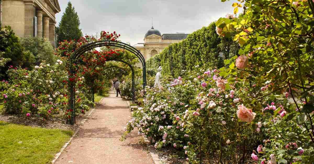 Visit of Jardin des Plantes, the Botanical Garden of Paris