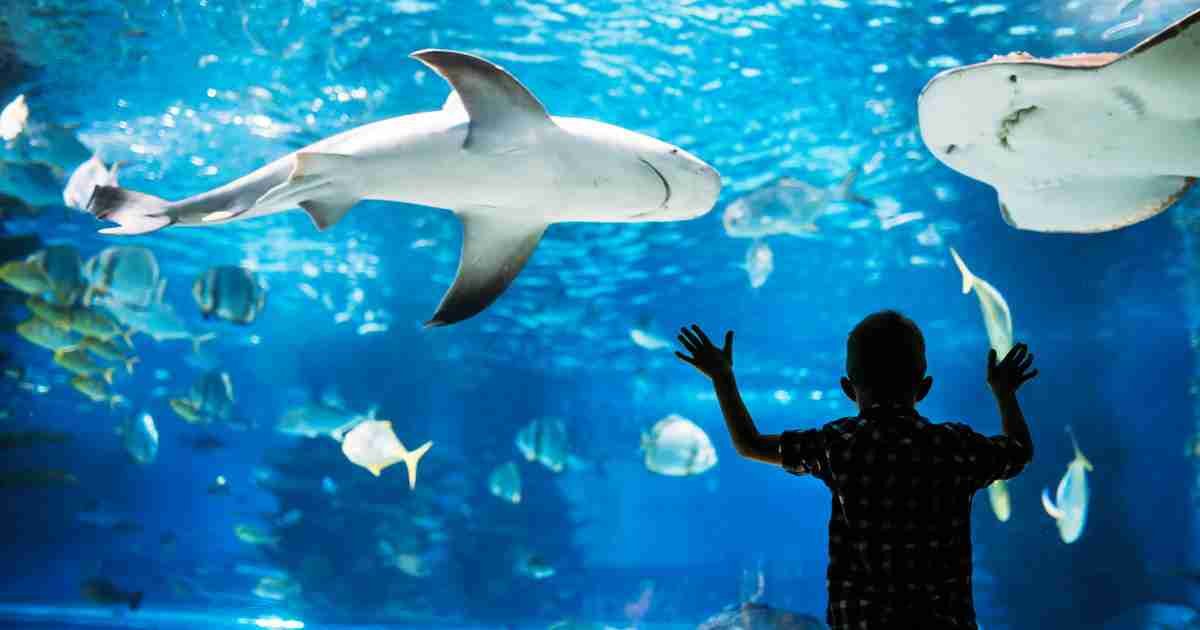 Visit the Best Aquarium in Paris in France (Editorial)